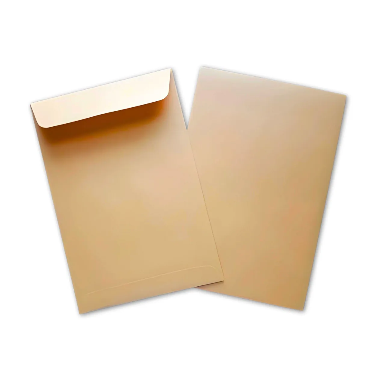 Catalog Envelope Kraft