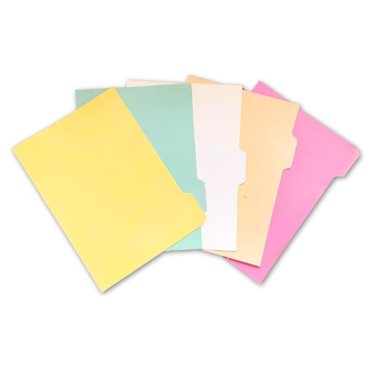Bristol Guide File Divider photo
