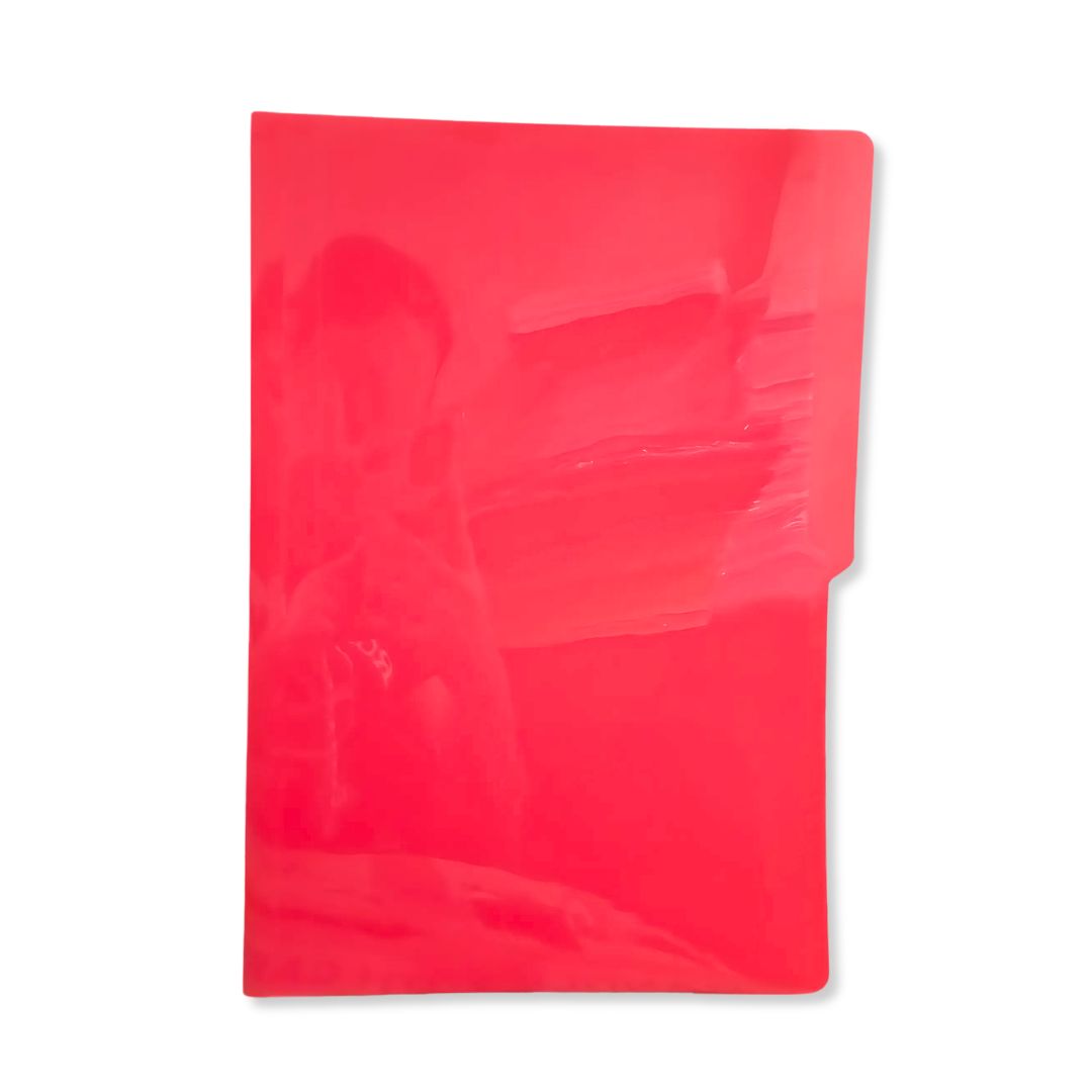 Pre-Punched Plastic Folder Thick option photo