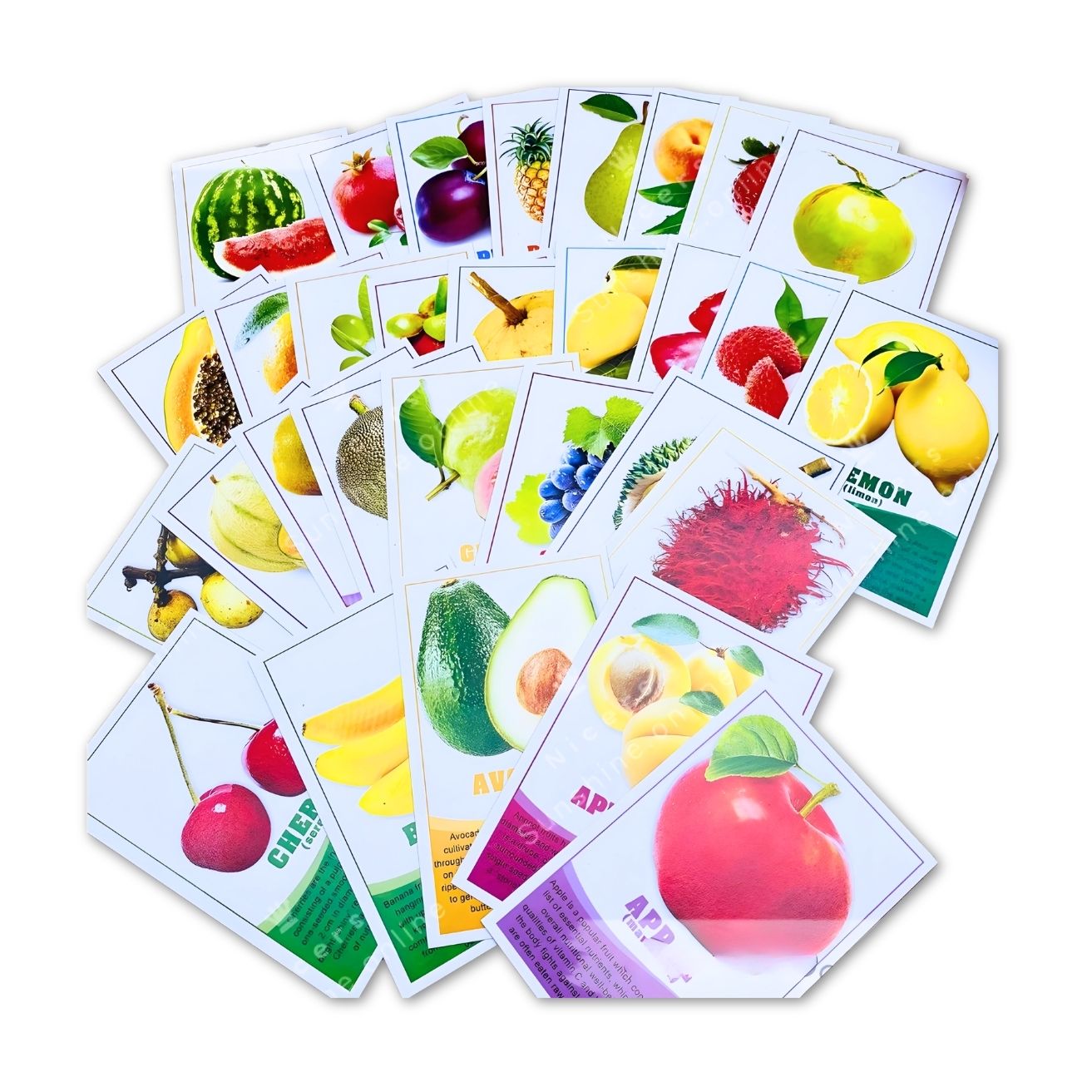 Vanda Flash Cards photo