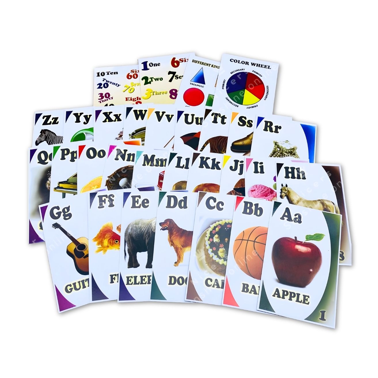 Vanda Flash Cards photo