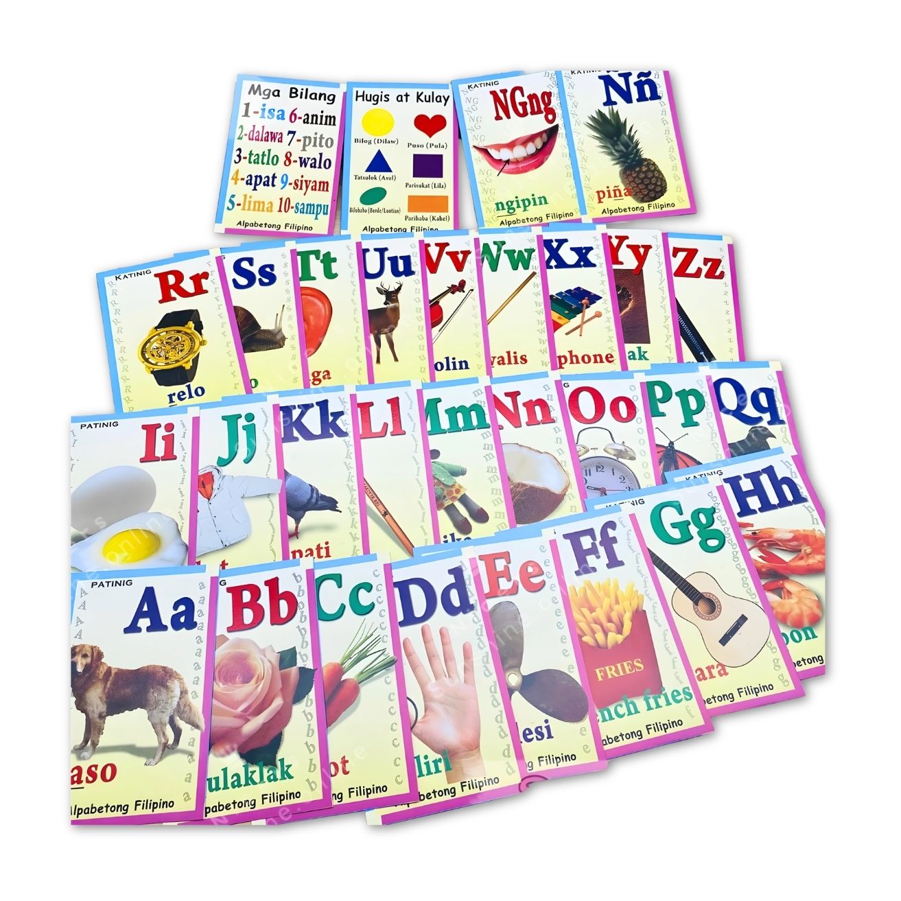 Vanda Flash Cards photo