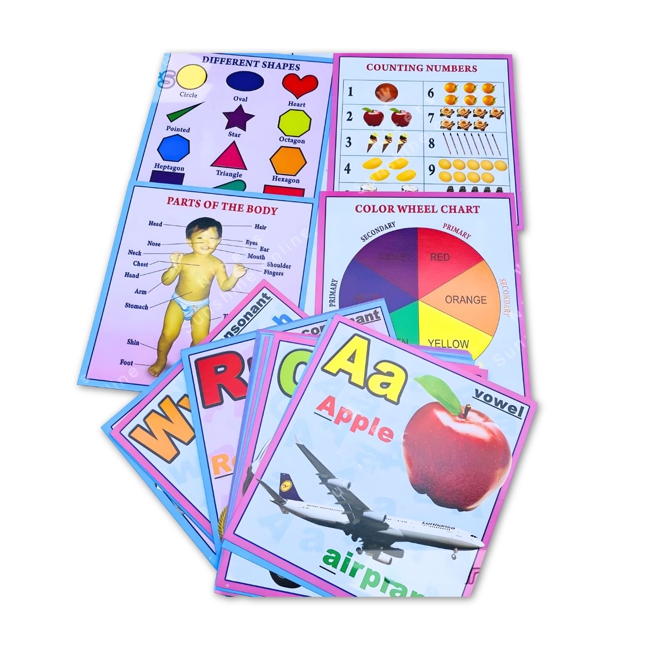 Vanda Flash Cards photo