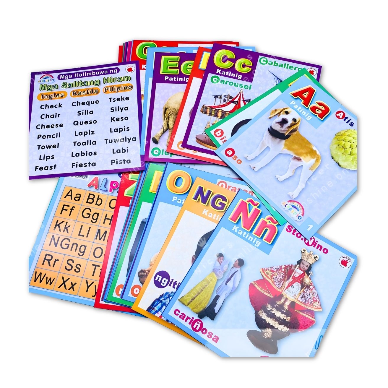 Vanda Flash Cards photo