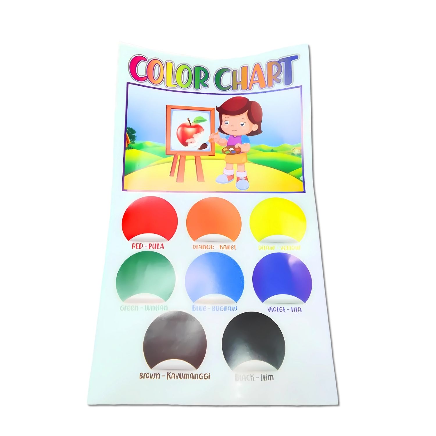 Educational School Charts option photo