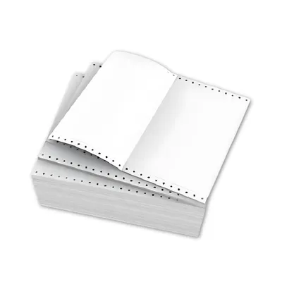 Computer Forms 13" x 9.5" Long Carbonless